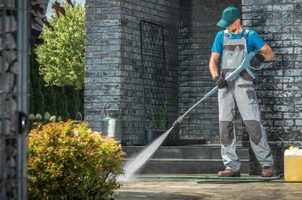 Best Animal Enclosure Cleaning  in Rittman, OH